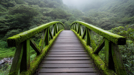 Serene moss covered wooden bridge in misty forest, inviting exploration and tranquility