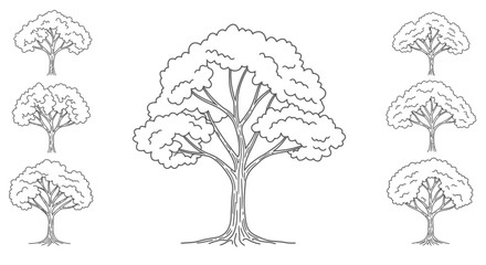 tree, detailed line art, black and white, highly detailed, intricate, botanical illustration, botanical, nature, organic, flora, leaves, branches, trunk, detailed textures, precise,
