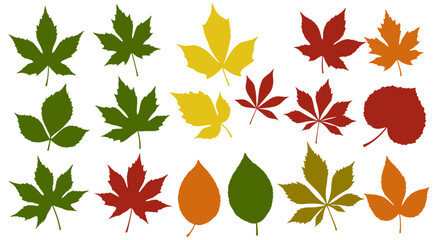 Obraz premium Colorful Autumn Leaves Collection – Seasonal Foliage Design