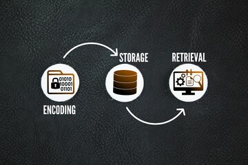 Encoding, storage and retrieval. What Is Memory, stages and processes in short-term memory and...