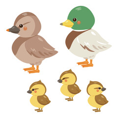 アイガモの親子イラストセット