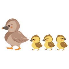 歩くアイガモの親子イラスト