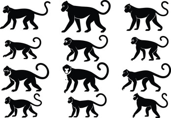Set of Monkey Silhouette Vector Illustration Design