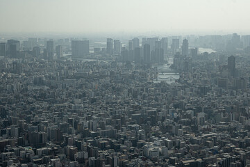 Fototapeta premium The top view or aerial view of the skyline of Tokyo city with a cityscape of highrise buildings on a hazy day at daytime in Japan with space for text.