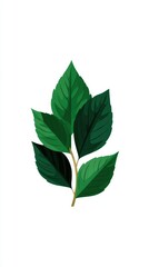 A stylized illustration of a branch with leaves.