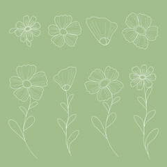 vector illustration of wildflowers in linear style on a green background