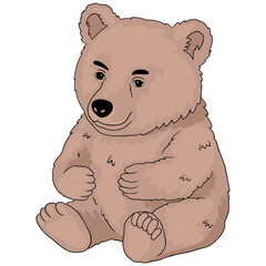Bear Animal Cartoon Illustration Digital Drawing