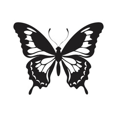 Black and White Butterfly vector silhouette, ai generated