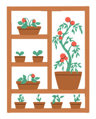 Fototapeta premium Local production concept. Shelf with different plants in pots. Flat vector illustration.