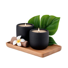 Elegant candles with natural decor for relaxation.