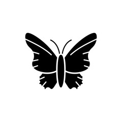 Colorful butterfly with open wings and intricate patterns