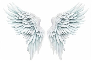 Obraz premium Angel wing white white background creativity.