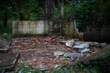 Abandoned structure in the forest with crumbling walls and scattered debris. A silent witness to...