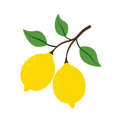 bright vector illustration of two yellow lemons with green leaves on a branch