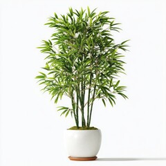 Fototapeta premium Lush green bamboo plant in a simple white pot, set against a clean white background