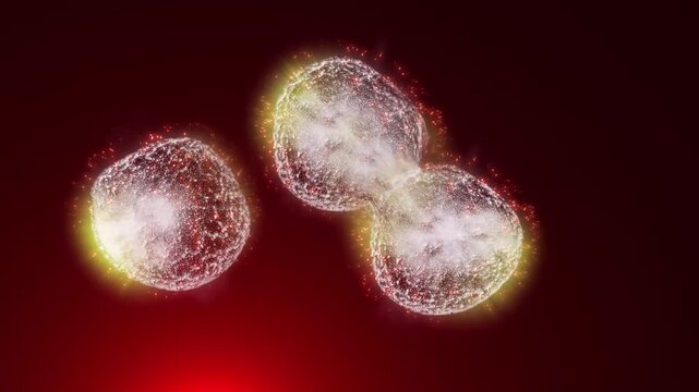 Study of cell division through a microscope. Abstract animation of cells for any medical, technological and similar projects.

