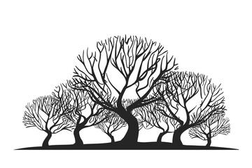 Fototapeta premium Silhouette Trees Vector Illustration Forest and Nature Line Art Design Element