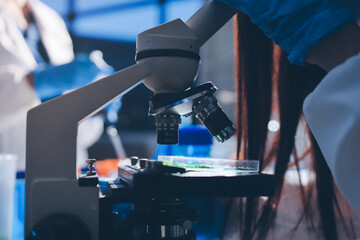 Scientist pipetting medical samples into microplate in laboratory