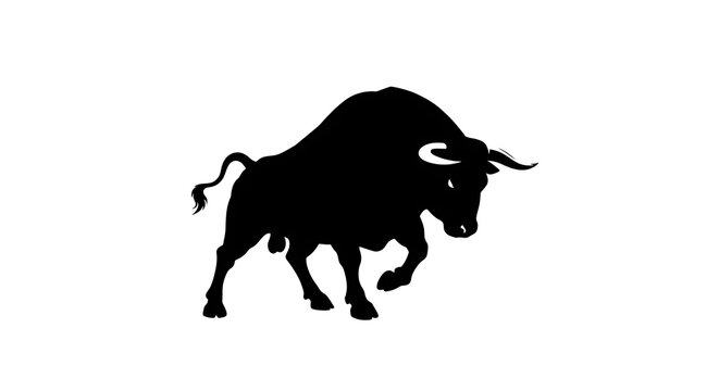 vector art line of angry bull or buffallo matador with fire effect and siluet effect suitable for mockup and logo product of team animated isolated white background 