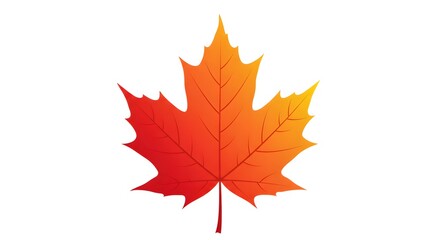 Fototapeta premium Autumn Maple Leaf Vector Illustration