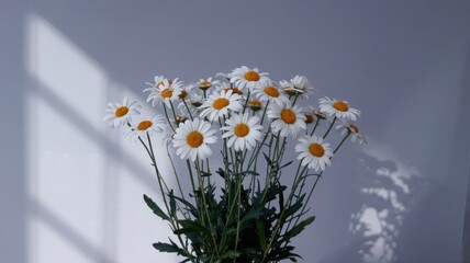 A beautiful bouquet of white daisies with yellow centers standing in front of a soft gray wall.