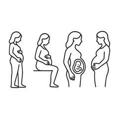 Pregnancy Stages Outline Icons – Minimal Medical Vector Set