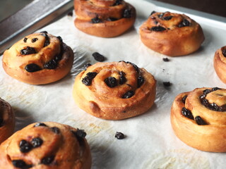 cinnamon and raisin bread rolls on baking tray