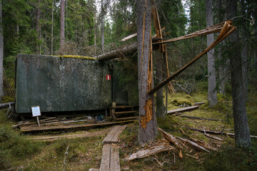 Concrete shelter beneath fallen tree in old forest. Evo Finland