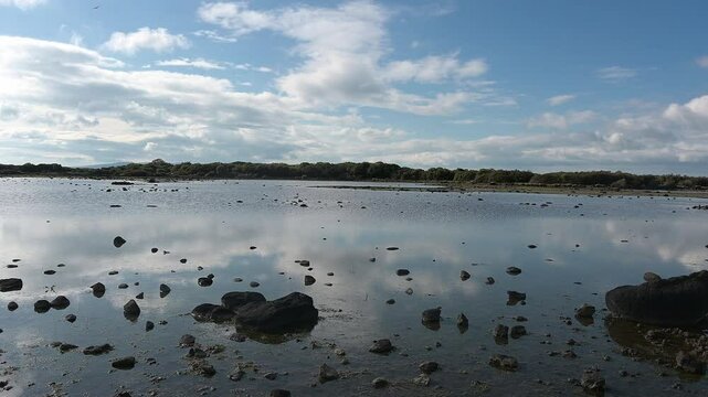 Scenic view of Pauli Majori showing a shallow wetland with scattered rocks, calm water, tree line and cloud reflections in clear daylight.