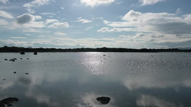 Scenic view of Pauli Majori showing a shallow wetland with scattered rocks, calm water, tree line and cloud reflections in clear daylight.