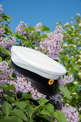 Swedish student cap and flower