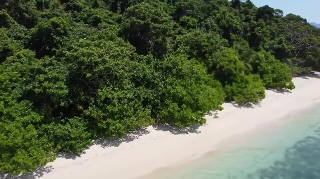 Beautiful beach view on the edge of a small island with dense green forest.  Generative AI.