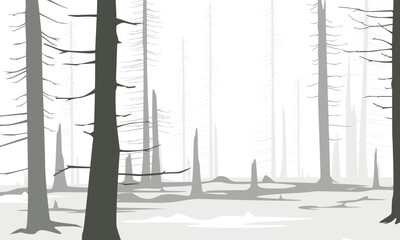 Vector Bears in winter forest landscape illustration drawing