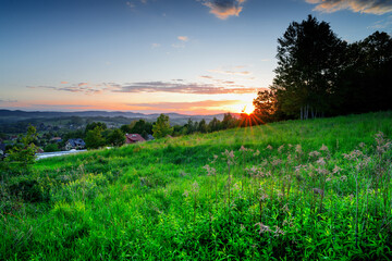 Obraz premium Wild natural meadow landscape at sunset, Sanok, Poland.