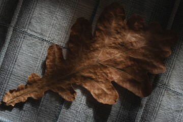 Abstract structure- wrinkles on the fabric. Textile-  simple dark background