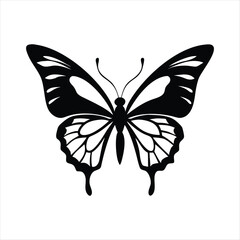 black butterfly silhouette illustration on white background