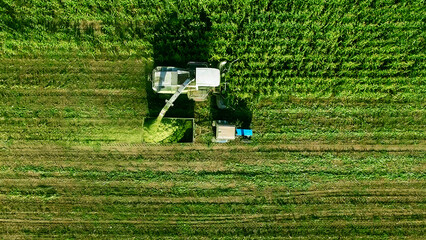 Aerial view of harvester loading off corn on trailers in summer day.  Large tractor is pulling a large grain silo is in the middle of a field of corn.