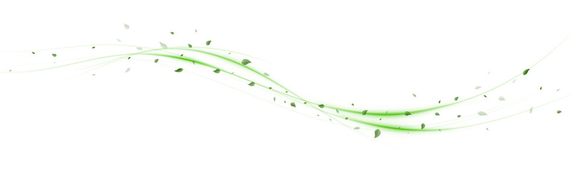 Png Wind Swirl with Green Leaves and Sparkles – Abstract Eco Background, Nature Breeze Motion, White Isolated Design, Shiny Flying Particles, Organic Energy Flow, Leafy Decorative Element PNG.