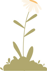 Spring Potted Plant Illustration