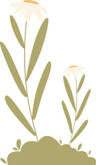 Spring Potted Plant Illustration