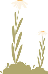 Spring Potted Plant Illustration