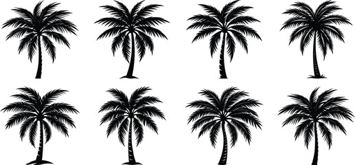 palm trees silhouettes