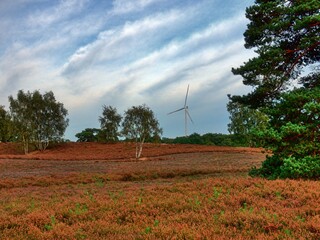In autumn at Haltern in Germany. The idyllic heath landscape is destroyed by a modern wind turbine for energy generation. Contradictions put a strain on the environment.