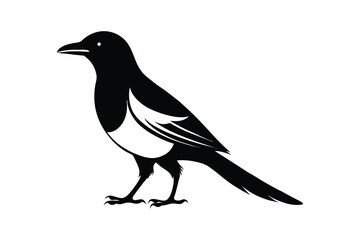 Fototapeta premium Minimalistic magpie bird silhouette on a white background