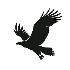 Fototapeta premium eagle in flight vector