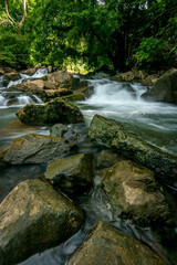 River in tropical forest