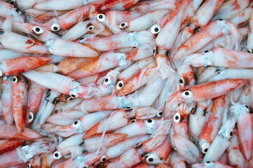 catch of fresh squid on display at seafood market. Background with fresh squid