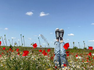 Relaxing in a Field of Poppies and Daisies