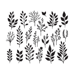 Naklejka premium Floral Line Art Set design Vector Illustrations 