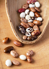 Wooden scoop holds an assortment of raw, organic dried bean seeds (Phaseolus vulgaris), perfect for a planting project. Harvesting or growth of a plant at home concept.